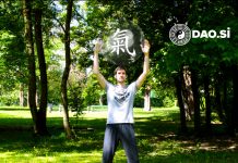 Kaj je Qi? Qi kot življenjska sila