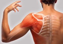 BOLEČINE V MIŠICAH IN MIŠIČNI KRČI – 11 TOP prehranskih dodatkov, ki odpravljajo BOLEČINE V MIŠICAH IN MIŠIČNI KRČE