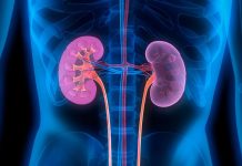 Ledvično popuščanje in odpoved – Prilagajanje prehrane pri obolenju ledvic