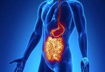 CHRONOVA BOLEZEN – 10 TOP prehrnskih dodatkov, ki pomagajo blažiti CRONOVE BOLEZNI