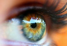 GLAVKOM – Prehranski dodatki, s katerimi si lahko pomagate pri obvladovanju glavkoma