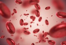 ANEMIJA ALI SLABOKRVNOST – Prehranski dodatki, ki preprečujejo slabokrvnost