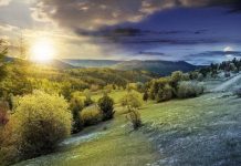 QiGong – mentalna in fizična vadba (Jin in Jang, Wai Dan in Nei Dan)