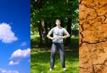 Kaj je Qi? Trije zakladi: Nebo (Tian), Zemlja (Di) in Človek (Ren)