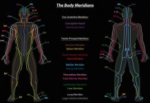 Meridiani – Energetski Kanali